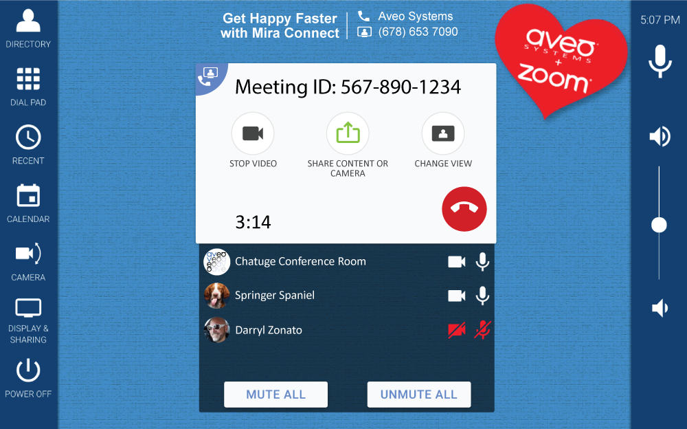 Zoom Rooms Mira Connect active call